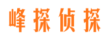 三江市私家侦探